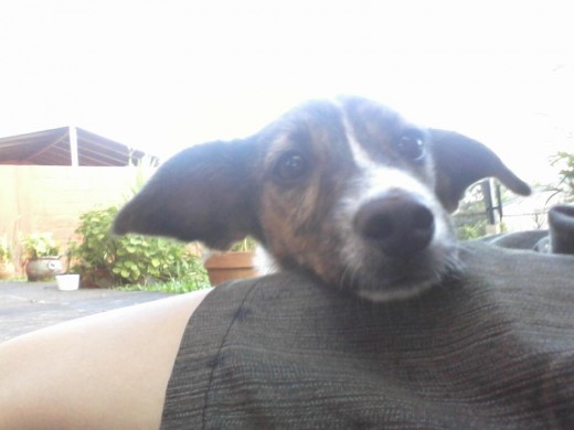 esta es la hija xdxd esta es la hija xdxd